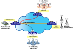 1 Gig Ethernet Campus Ring